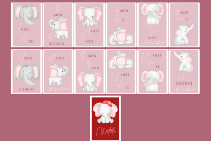 Card mesi