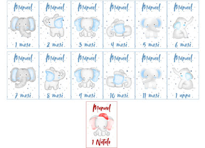 Card mesi